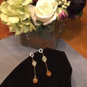 Gorgeous Dangling Earrings